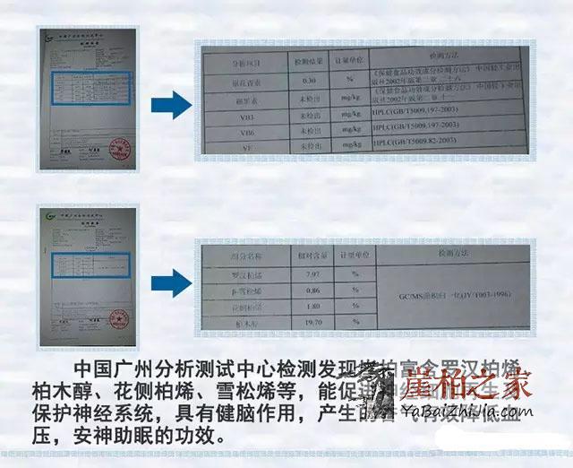来吧来吧,崖柏吃、喝、抽、睡皆可以!-3