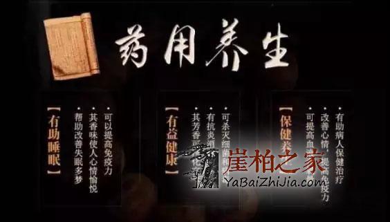 来吧来吧,崖柏吃、喝、抽、睡皆可以!-2
