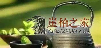 来吧来吧,崖柏吃、喝、抽、睡皆可以!-10