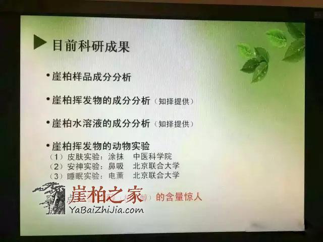来吧来吧,崖柏吃、喝、抽、睡皆可以!-16