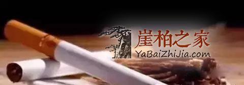 来吧来吧,崖柏吃、喝、抽、睡皆可以!-15