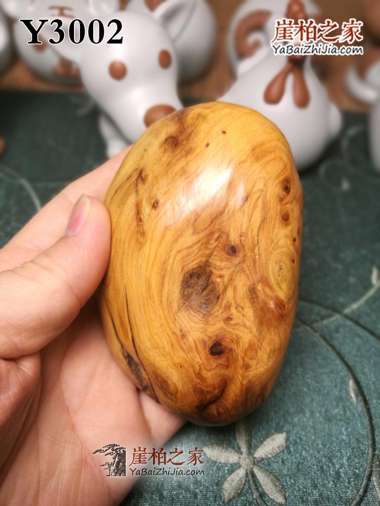 太行陈化崖柏满瘤疤手把件雀眼高油把玩件茶宠崖柏原木-61