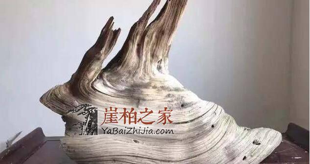 干货:崖柏毛料挑选须知!-2