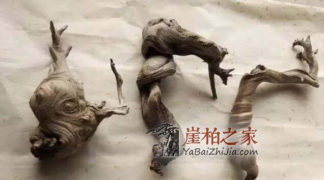 干货:崖柏毛料挑选须知!-3