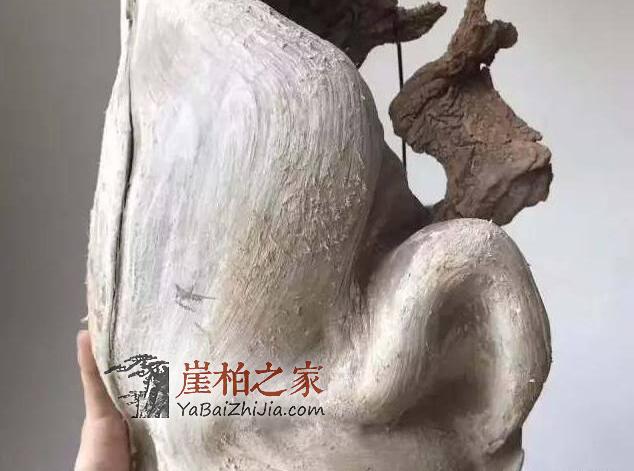 干货:崖柏毛料挑选须知!-4