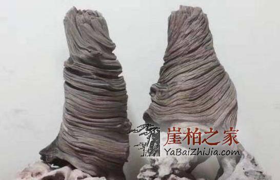干货:崖柏毛料挑选须知!-5