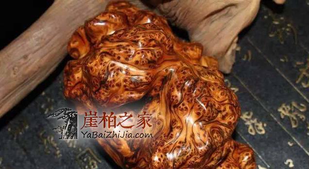 干货:崖柏毛料挑选须知!-7