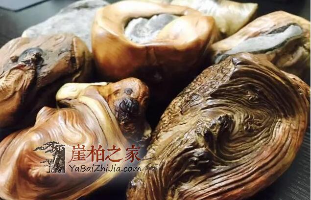 干货:崖柏毛料挑选须知!-9