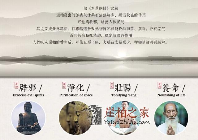 空气中的维生素,领略崖柏养生“零接触”-3