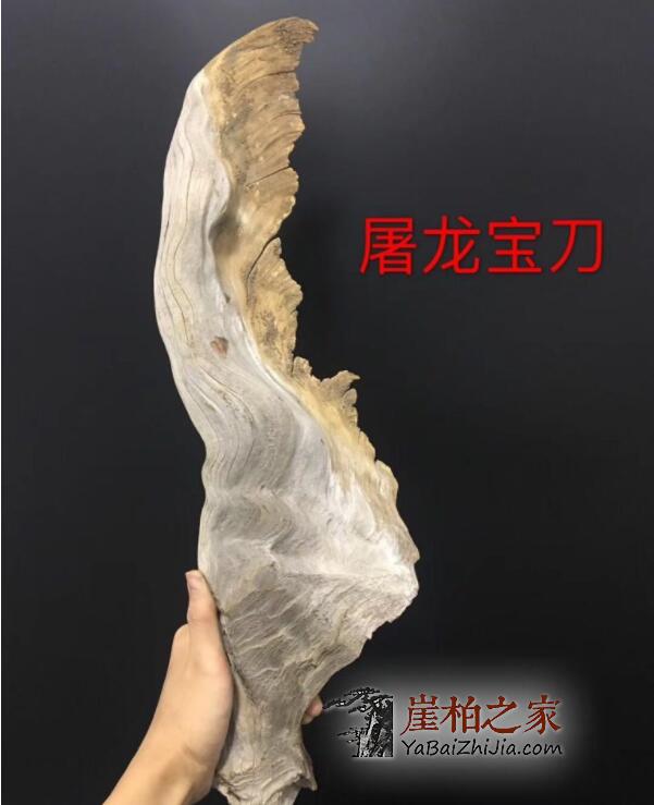 崖柏和侧柏的区别,如何区分崖柏与侧柏?-2