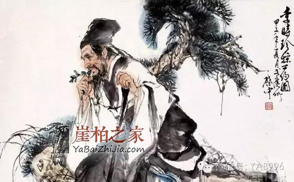 崖柏集时尚和养生于一体,深受大众喜爱!-3
