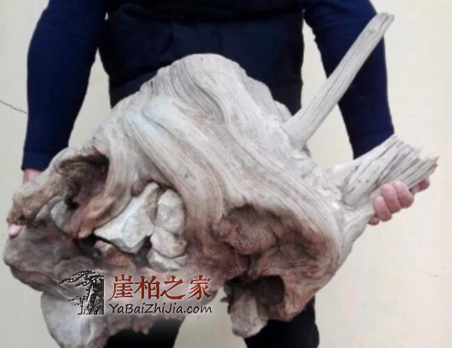 崖柏常识:崖柏料的分类-3
