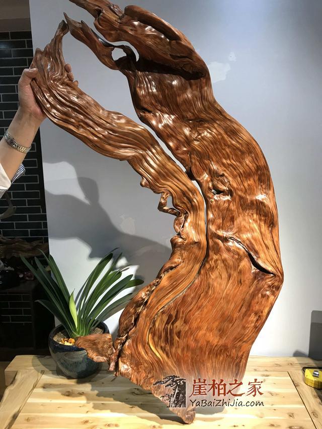 崖柏的四个“极致”,让柏友无法自拔!-1