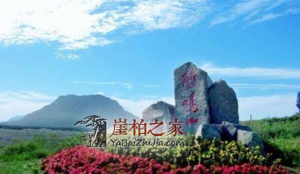 天作之合!千年崖柏,国宝雄鸡落座“鸡鸣山”-2