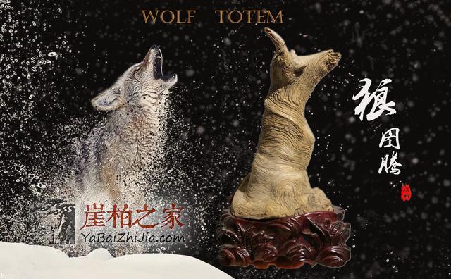 居然没有发现,崖柏已经现身各大热播影视剧!!!-2