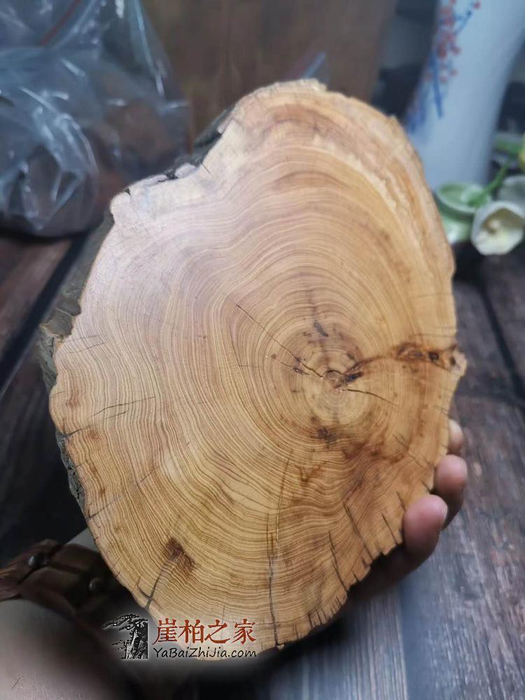太行崖柏陈化黑油随型烟灰缸崖柏原木木雕手把件文玩摆件-9