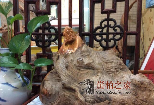 一块崖柏换一套房子?价格贵上天,都是这事闹的!-4