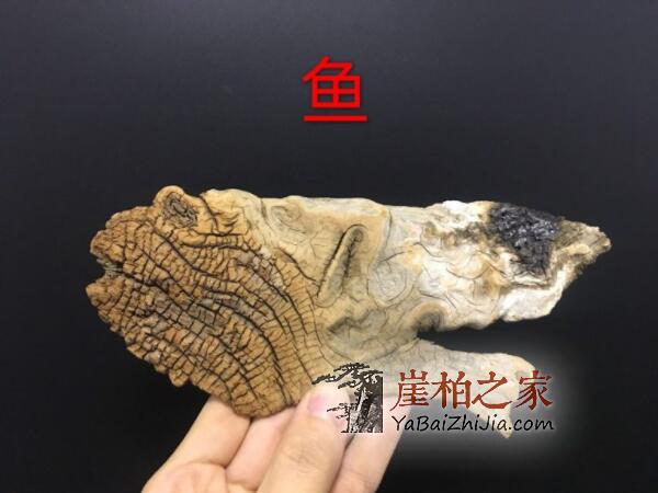现实业态下崖柏收藏还能继续吗?-1