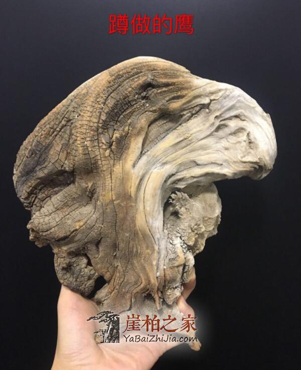 现实业态下崖柏收藏还能继续吗?-3