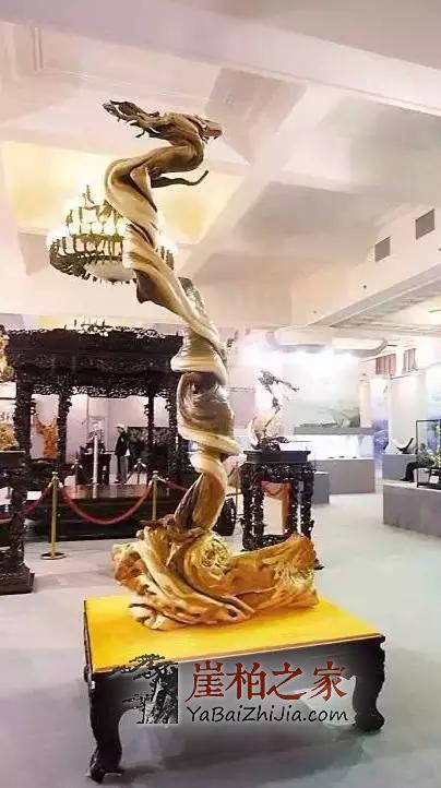 崖柏,我想对你说!-1