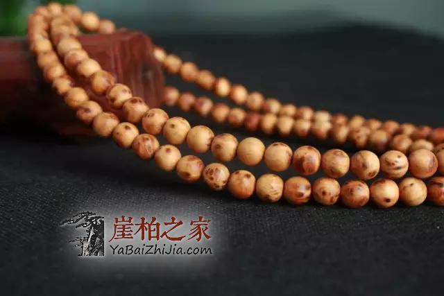 崖柏,我想对你说!-4