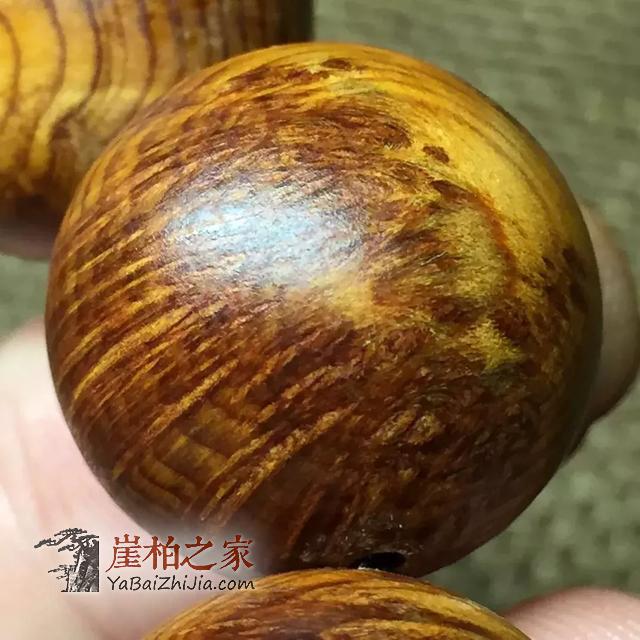崖柏蚂蚁腿陈化料!-4