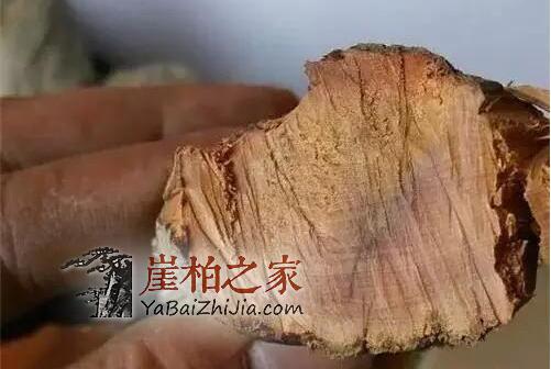 崖柏陈化料:商家最爱忽悠你的几个方面-1