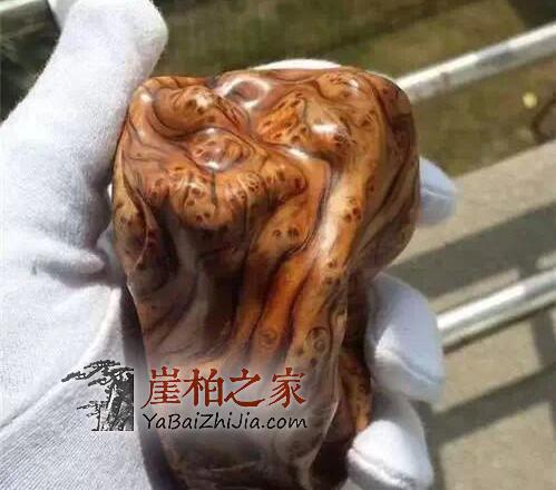 崖柏陈化料:商家最爱忽悠你的几个方面-3