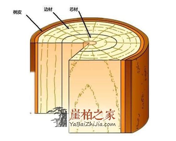 如何鉴别崖柏生料,老料,陈化料?-1