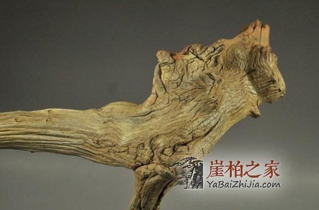 如何鉴别崖柏生料,老料,陈化料?-3