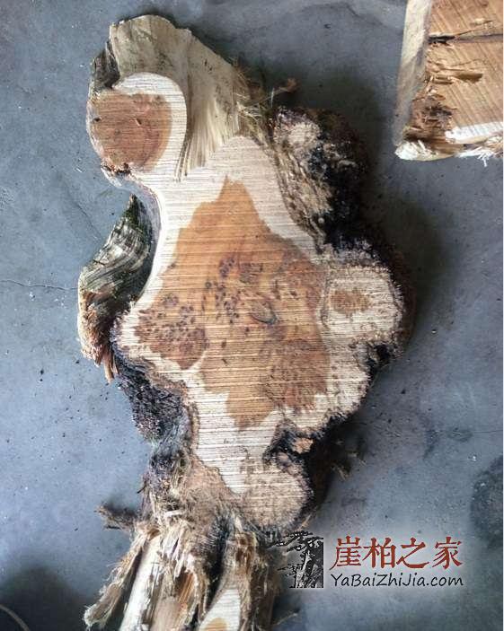 如何鉴别崖柏生料,老料,陈化料?-2