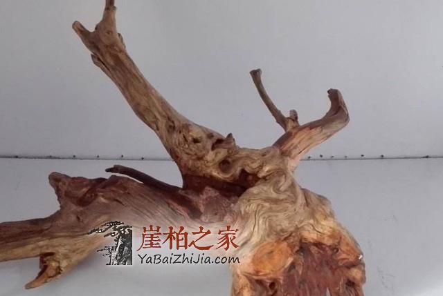 崖柏手串的养护方法,有崖柏的朋友们可以来看看-1
