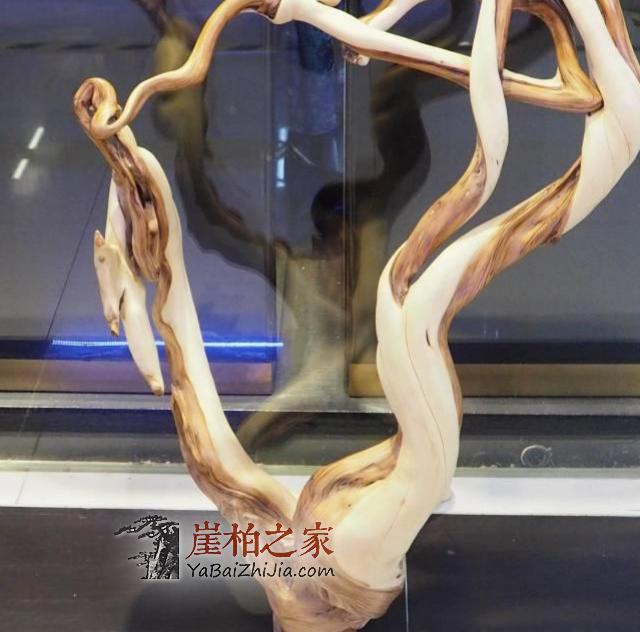 崖柏市场一半海水,一半火焰-4