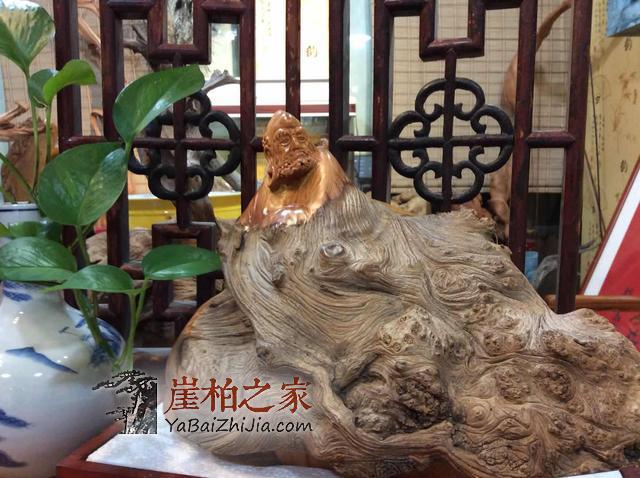 干货:崖柏之家教你如何选择崖柏原料产地-2