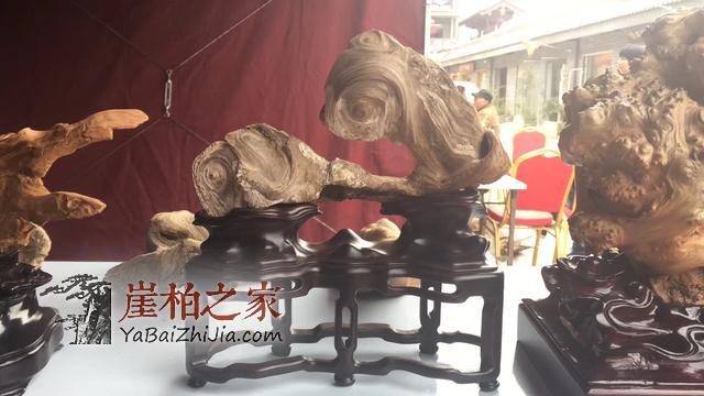 干货:崖柏之家教你如何选择崖柏原料产地-5