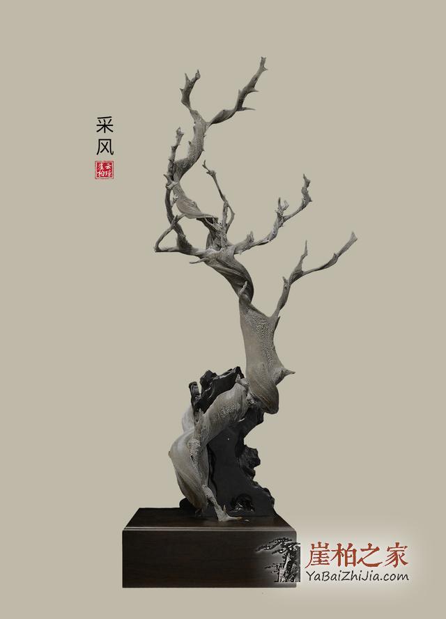 什么样的崖柏才算好崖柏?记住这点崖柏万千,“型”料为王-3