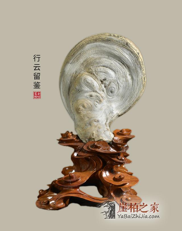 什么样的崖柏才算好崖柏?记住这点崖柏万千,“型”料为王-5