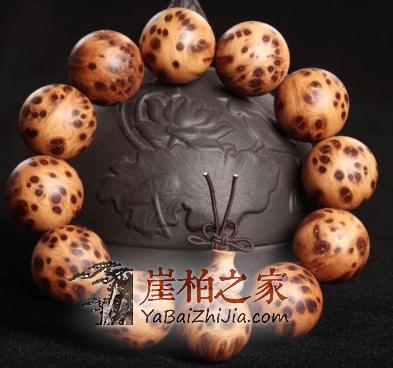 崖柏受追捧:揭秘崖柏受欢迎的真正原因!-2