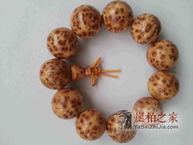 崖柏受追捧:揭秘崖柏受欢迎的真正原因!-4