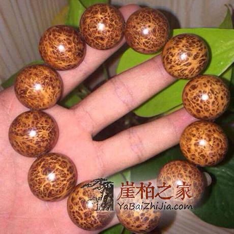 崖柏受追捧:揭秘崖柏受欢迎的真正原因!-5