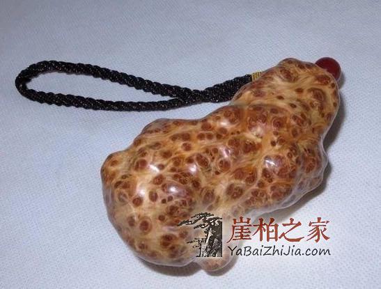 哪里的崖柏好?崖柏之家1分钟教你如何辨别崖柏的产地-1
