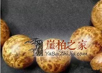 崖柏之家教你正确识别真正的崖柏!-2