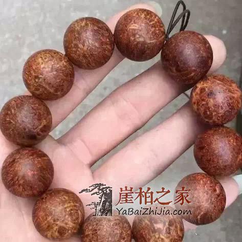 崖柏之家教你正确识别真正的崖柏!-3