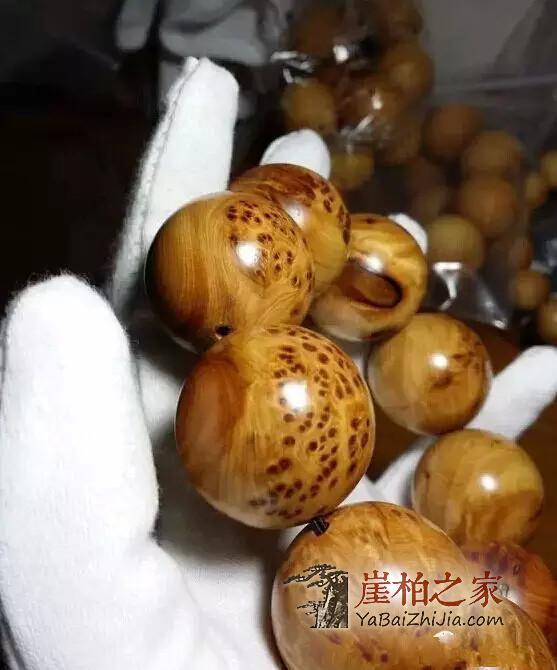 崖柏之家教你正确识别真正的崖柏!-6