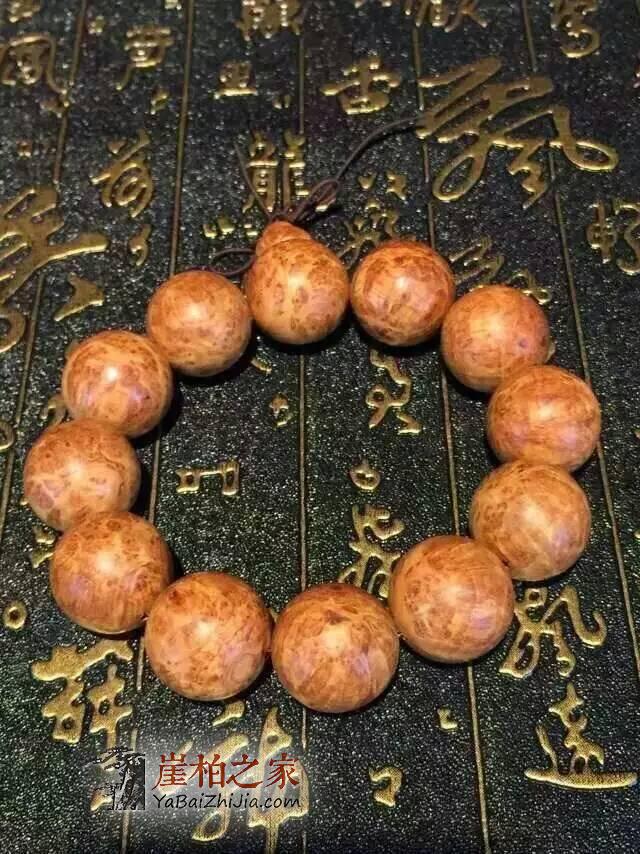 太行崖柏和川料崖柏的主要区别在哪里?为何太行崖柏好?-4