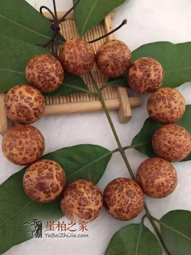 如何挑选手串?崖柏手串的挑选法则 五看一闻