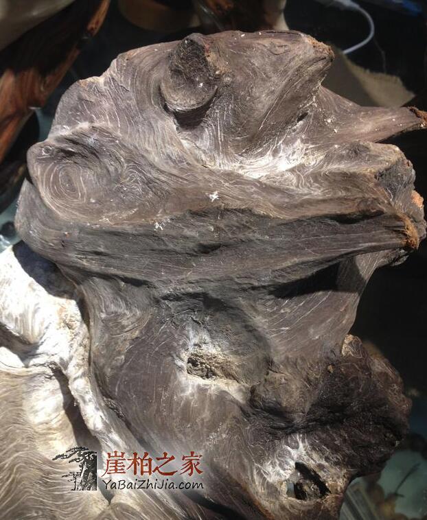 新手必知:想要玩转崖柏一定要认准这六种料-1