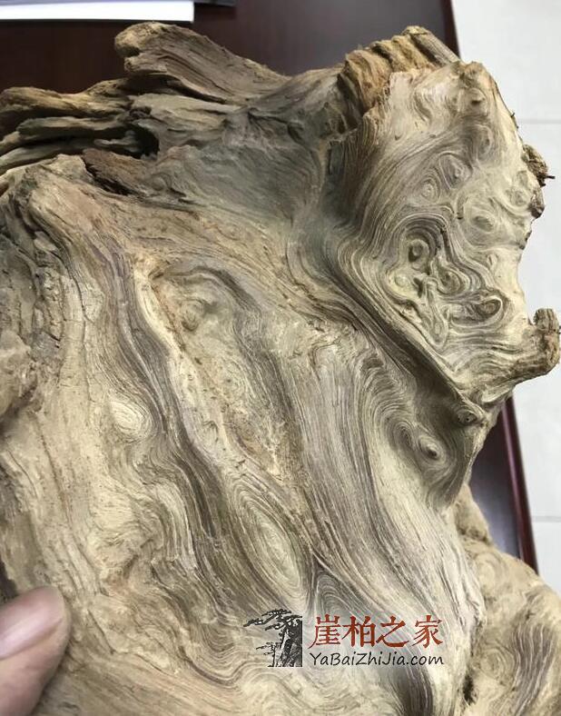 新手必知:想要玩转崖柏一定要认准这六种料-4