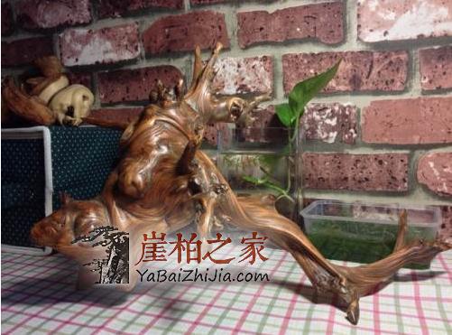 崖柏陈化料有价值吗?深度分析崖柏陈化料-3
