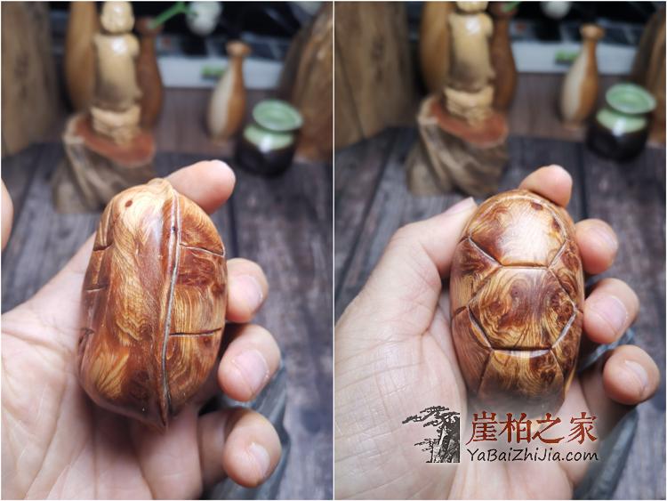 太行崖柏满瘤疤火焰纹手工富甲天下寿龟手把件木雕原木摆件-6